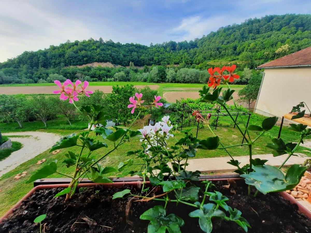 Kuca Za Odmor Ceif Dropci Exterior foto