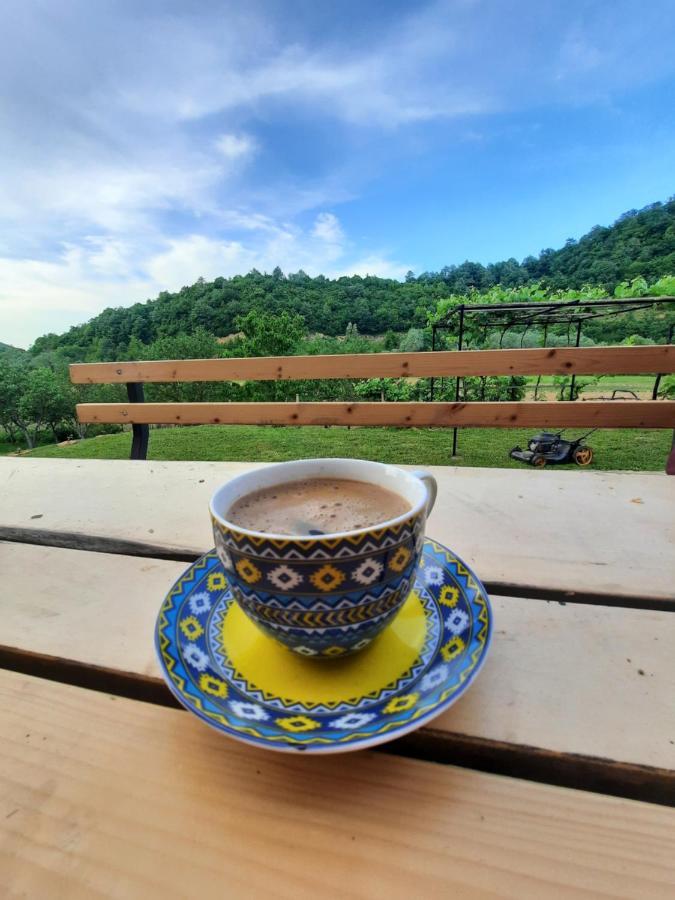 Kuca Za Odmor Ceif Dropci Exterior foto